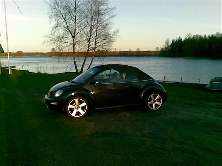 VW New Beetle Cabriolet TDI billede 15