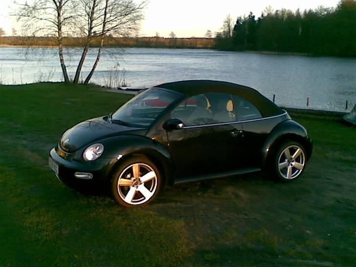 VW New Beetle Cabriolet TDI billede 16