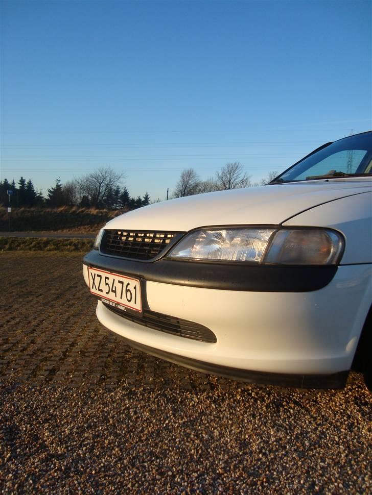 Opel Vectra B 1.6 16V billede 8