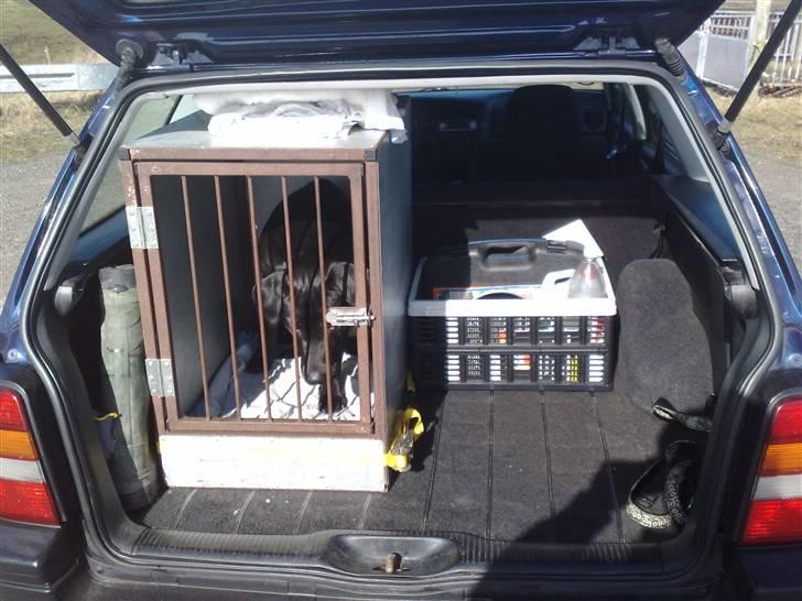 VW Golf 3 tdi gt stc (solgt) billede 10