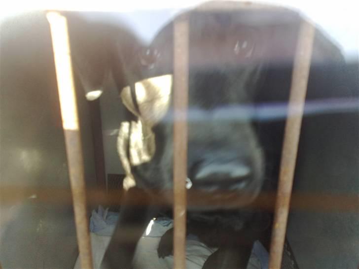 VW Golf 3 tdi gt stc (solgt) billede 14