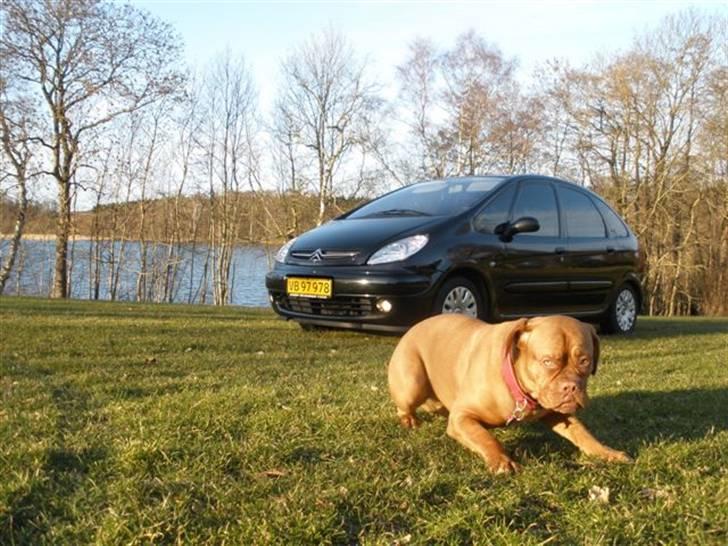 Citroën Xsara Picasso Van SOLGT billede 6