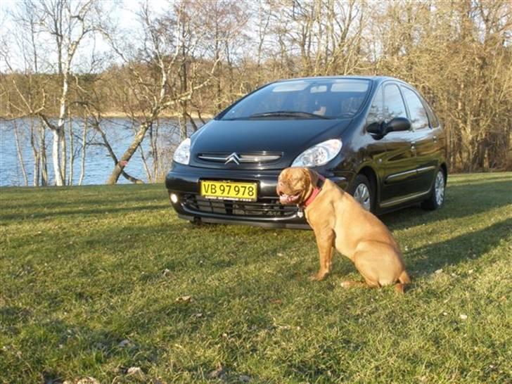 Citroën Xsara Picasso Van SOLGT billede 7