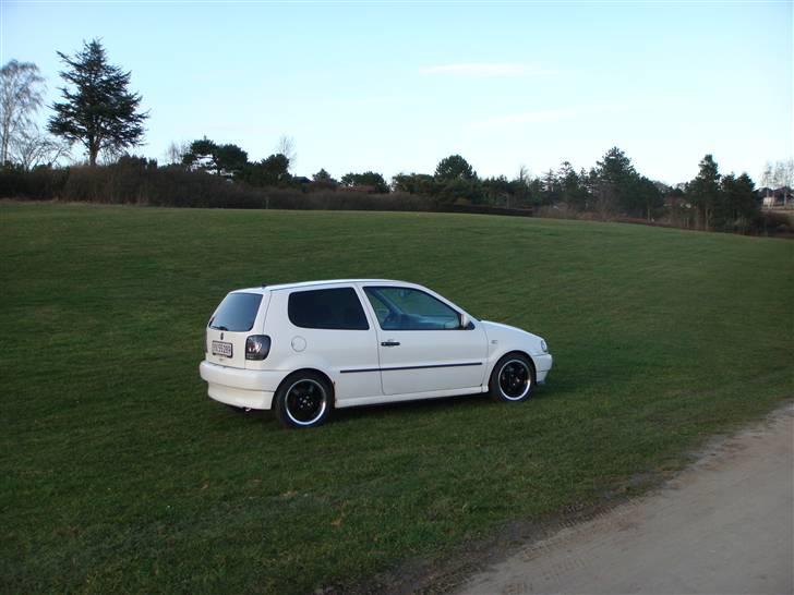 VW Polo 6n - Solgt billede 10