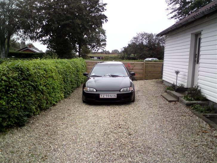 Honda civic 1.6 esi - Nyt billede 1