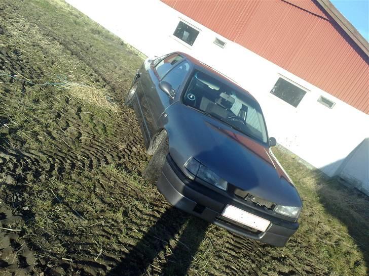 Opel vectra 2000 16v 4*4 SOL.. billede 8