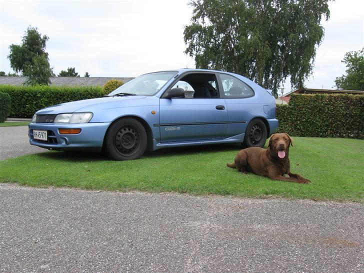 Toyota Corolla 1,6 GSI ( Solgt ) billede 1