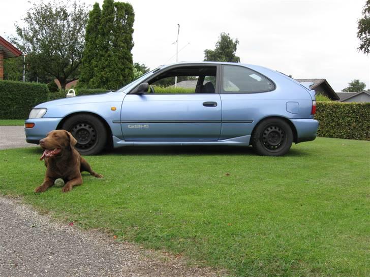 Toyota Corolla 1,6 GSI ( Solgt ) billede 2