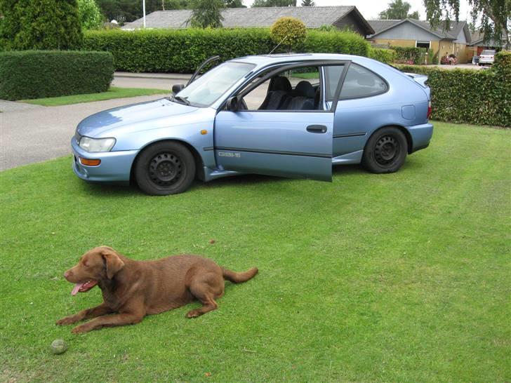 Toyota Corolla 1,6 GSI ( Solgt ) billede 3