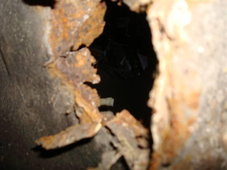 BMW 323i e30 r.i.p - der gik en donkraft op igennem så på skrot med den desværre billede 16