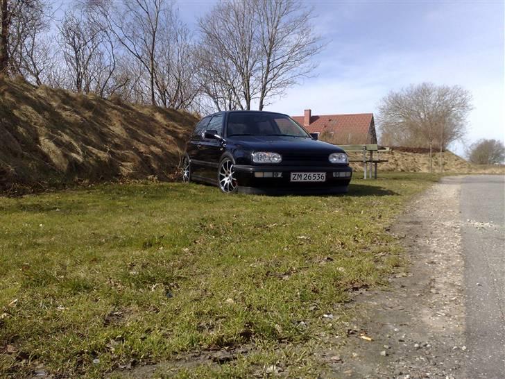 VW Golf GTI Edition SOLGT billede 11