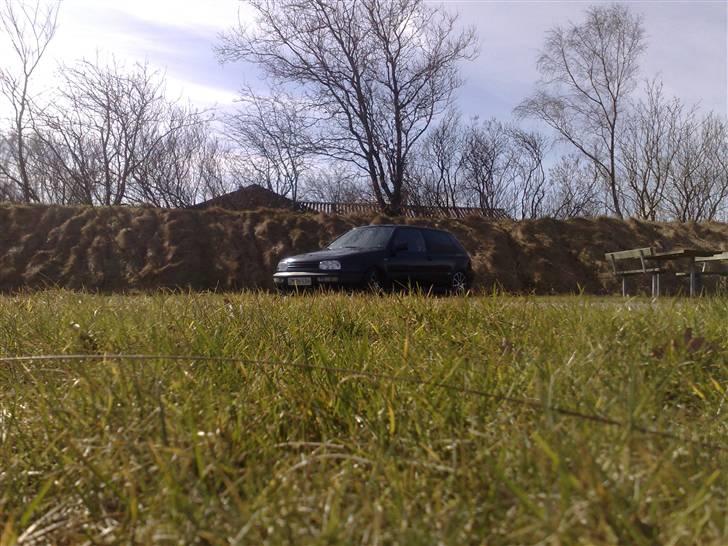 VW Golf GTI Edition SOLGT billede 15