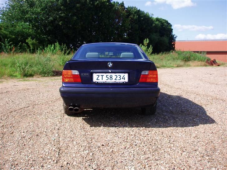 BMW E36 billede 8