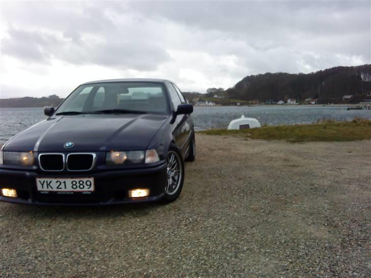 BMW 323TI billede 5