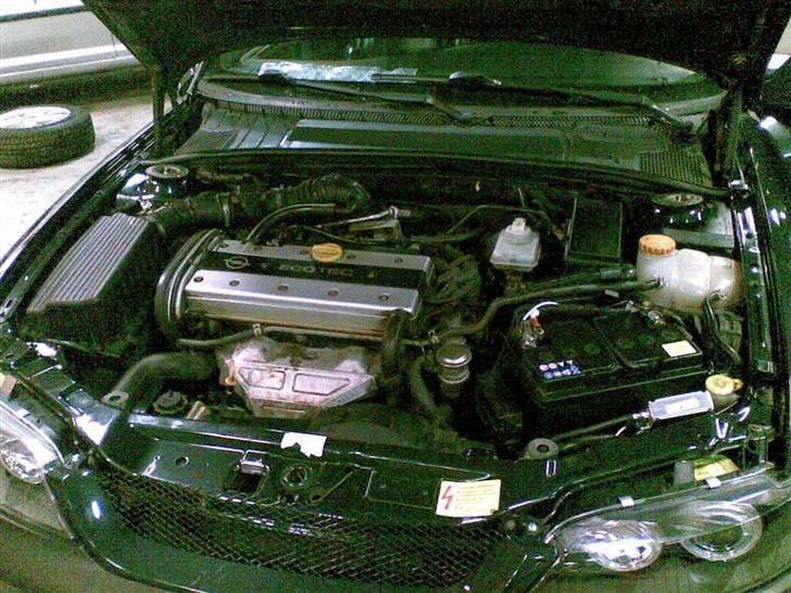 Opel Vectra B Solgt billede 8