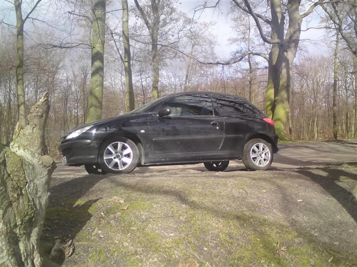 Peugeot 206 R.I.P. billede 6