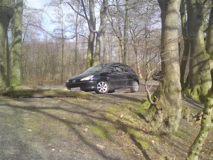 Peugeot 206 R.I.P. billede 7