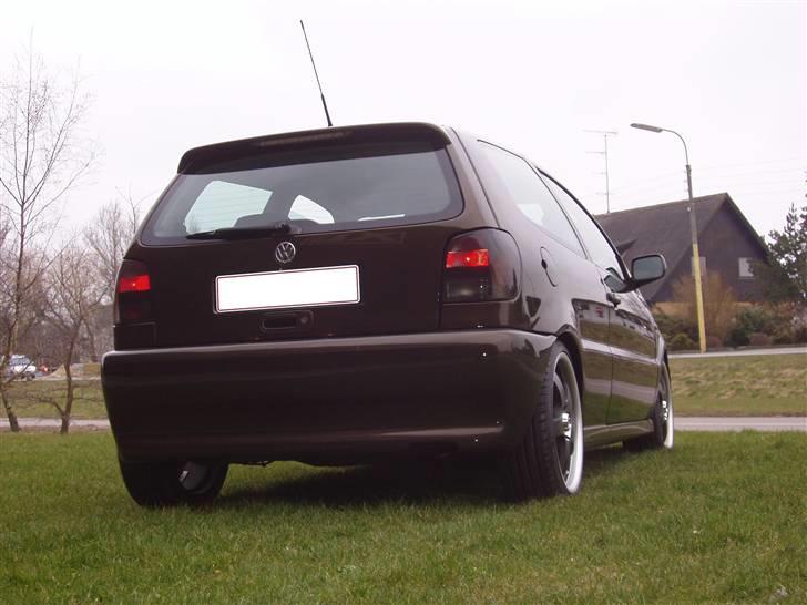 VW Polo 6N 1.6 8V billede 5