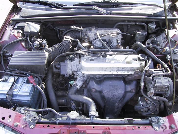 Honda Accord (solgt) billede 7