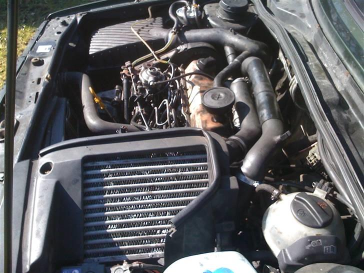 VW golf 2 1.6 GTD (SOLGT) - den fine motot:b billede 10