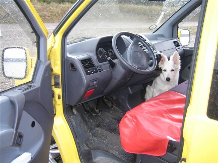 Mercedes Benz Vito 110 2,3TD -=Byttet=- billede 8