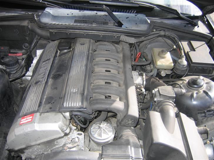 BMW 320 i coupe billede 11