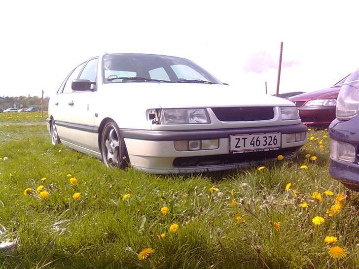 VW Passat 35i *Solgt* - som den står nu 14/6-09 blinklyset er dog kommet på :) billede 17