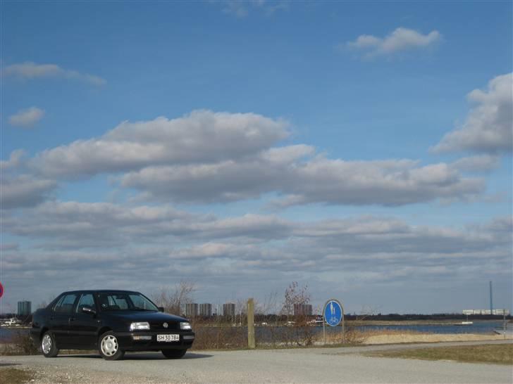VW Vento - Ved havnen igen. billede 16