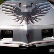 Amerikaner Trans Am 10th Anniversary