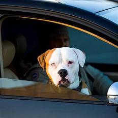 VW Touran 2.0 TDI DSG *SOLGT