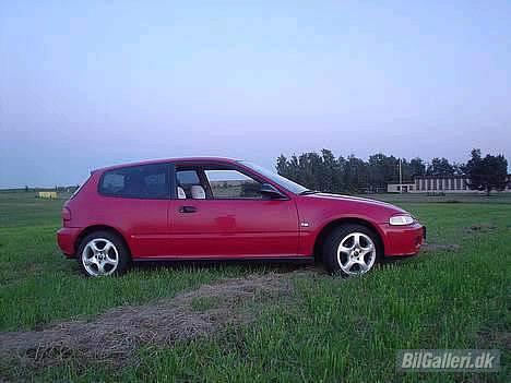 Honda Civic (totalskadet) billede 1