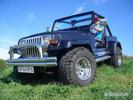 Jeep Wrangler YJ  billede 2