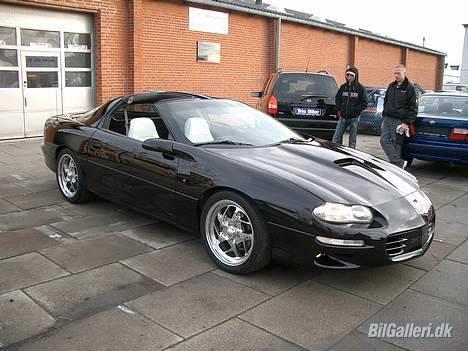 Chevrolet camaro z28 billede 8