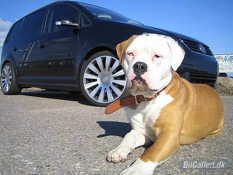 VW Touran 2.0 TDI DSG *SOLGT billede 8