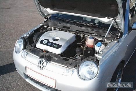 VW Lupo 3l *SOLGT* - det pynter da også ik... mangler lige en motorvask billede 3