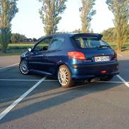 Peugeot 206 xs TOTAL SKADET