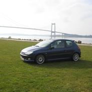 Peugeot 206 xs TOTAL SKADET