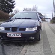 Seat ibiza stella