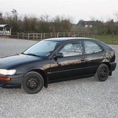 Toyota corolla (SOLGT)