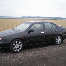 Nissan Primera 144