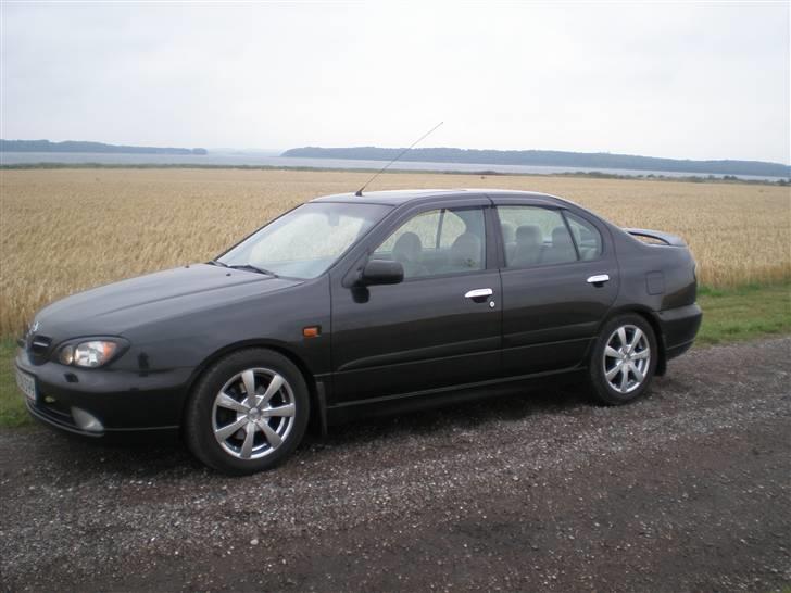 Nissan Primera 144 billede 1