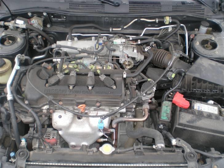 Nissan Primera 144 billede 2