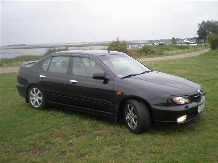 Nissan Primera 144 billede 5