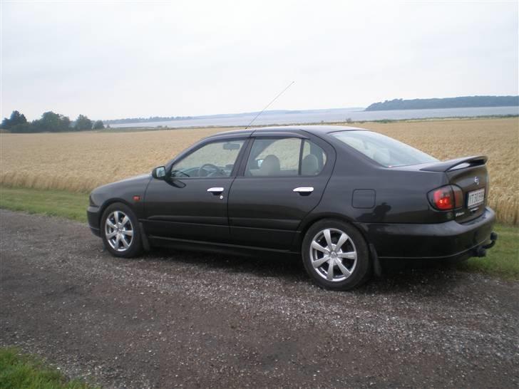 Nissan Primera 144 billede 6