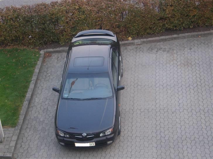 Nissan Primera 144 billede 7