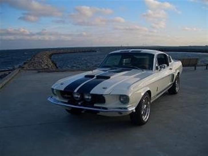 Shelby GT-350 billede 1
