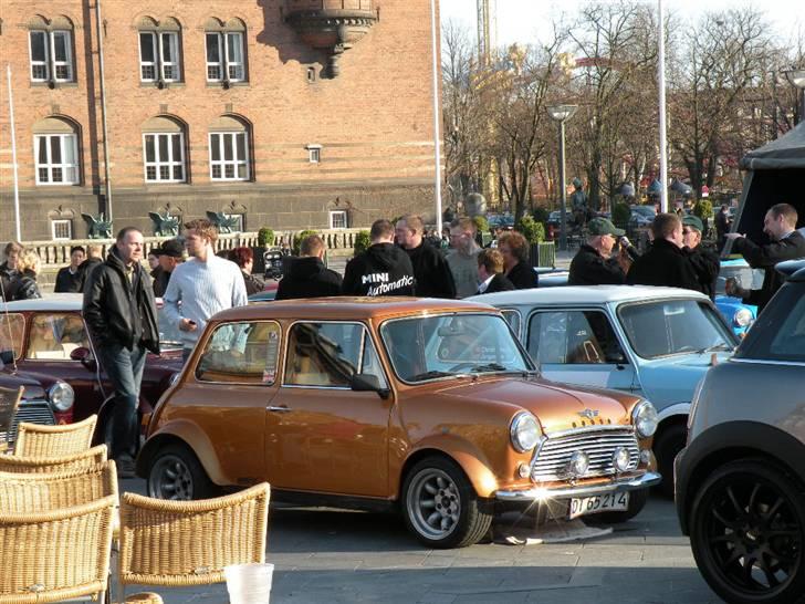 Mini Mascot - Austin - Morris - Rådhuspladsen 2009 billede 4