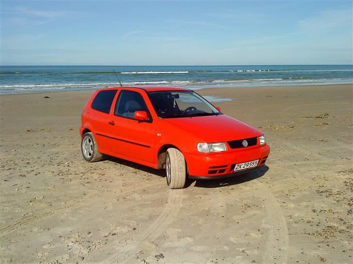 VW polo 6n (totalskadet) - ny kofanger mangler bare noget lim så pladen kan komme op på sin plads :-D billede 1