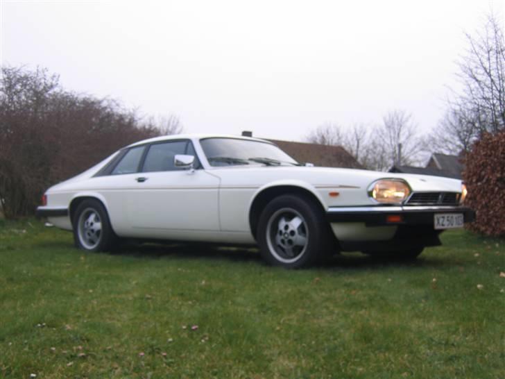 Jaguar XJS V12 HE billede 1