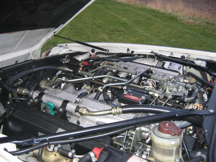 Jaguar XJS V12 HE billede 2